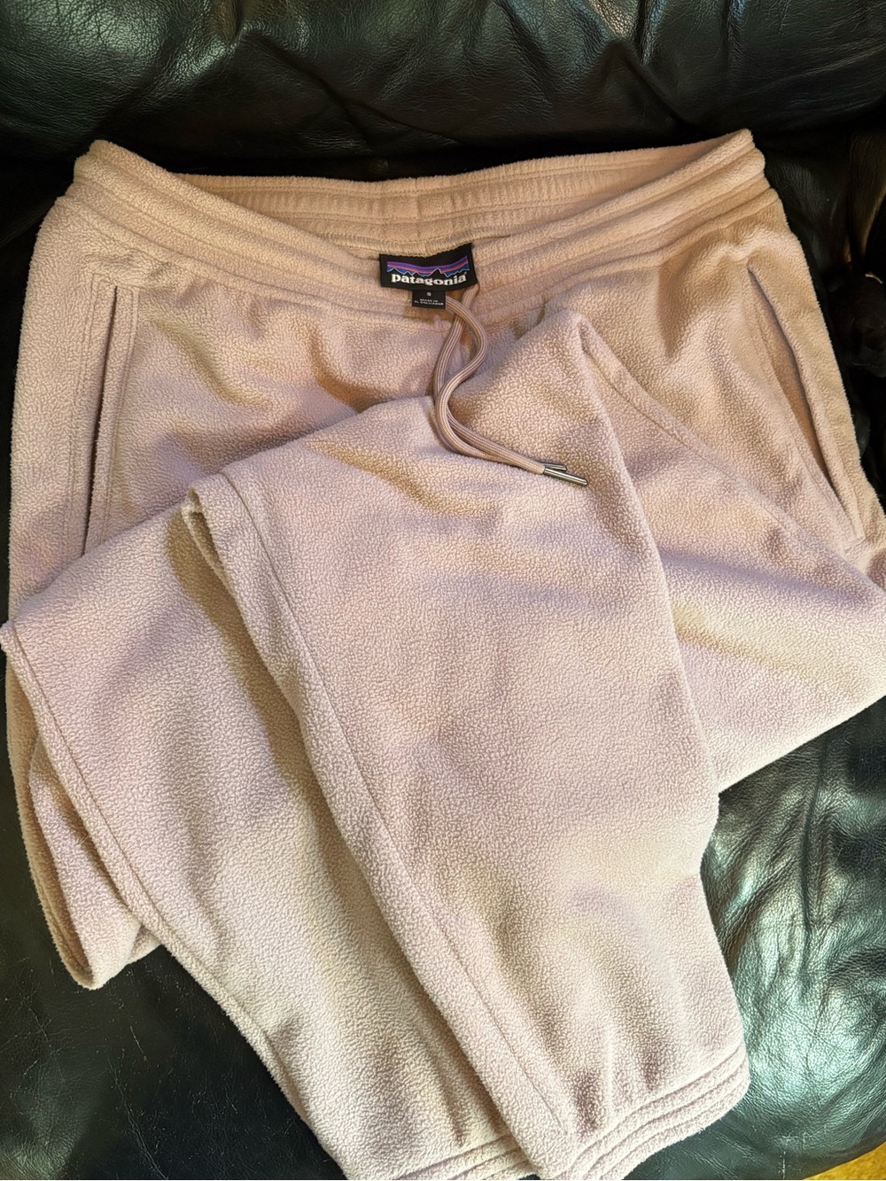 Patagonia W's Micro D Joggers